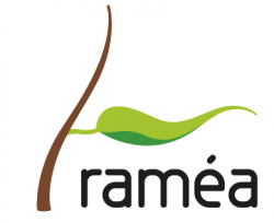 Raméa
