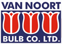 van_noort_bulb