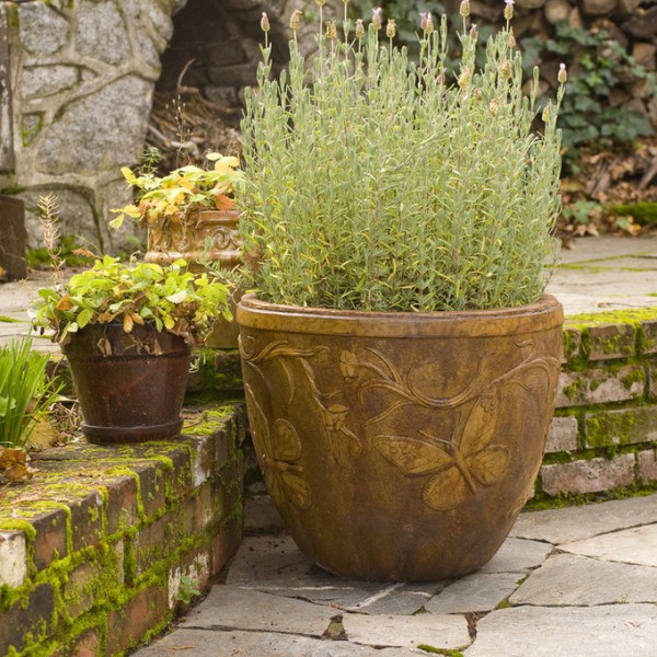 butterfly pot butterfly pot