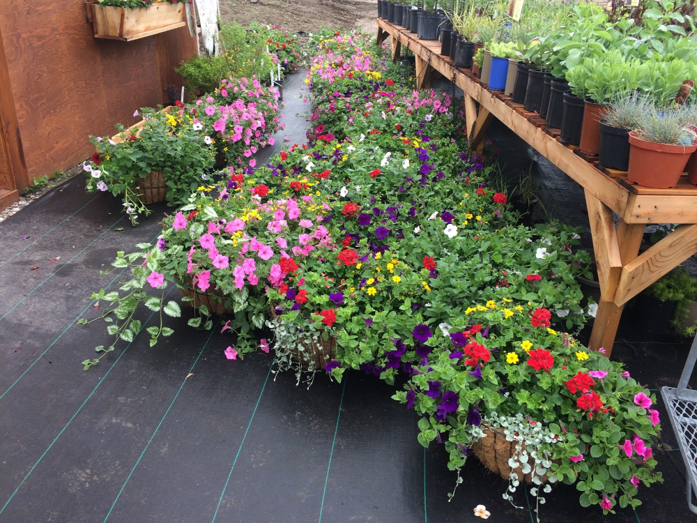 paniers pour Municipalité de La Pêche Ornements de jardin