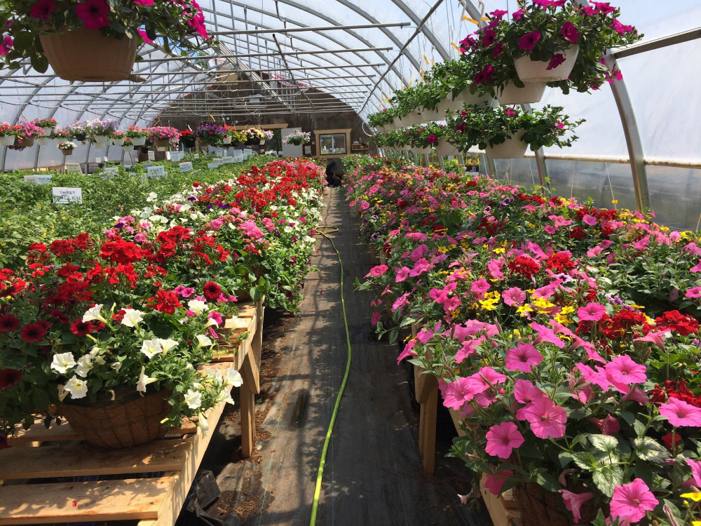 paniers pour Municipalité de La Pêche paniers pour Municipalité de La Pêche