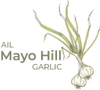 mayo hill garlic