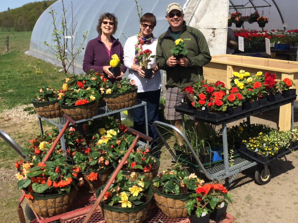 fleurs pour condos Springfield Townhouse Ornements de jardin