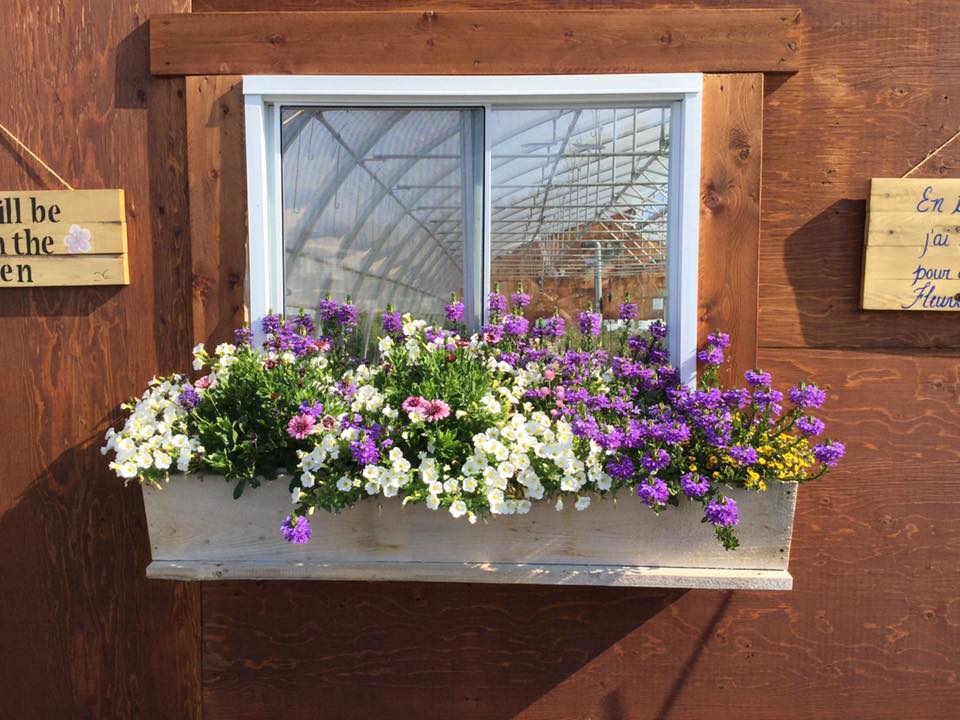 boîte à fleurs Ornements de jardin