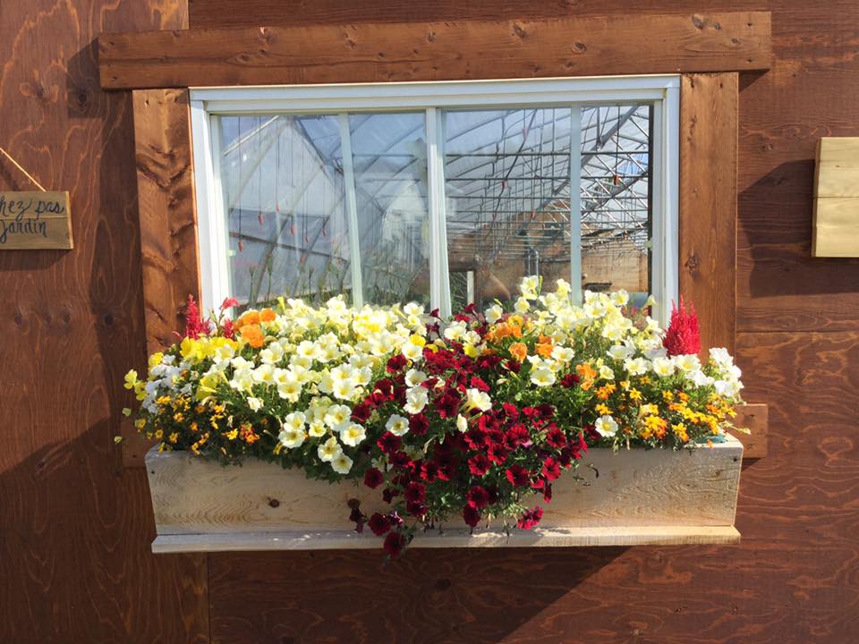 boîte à fleurs boîte à fleurs