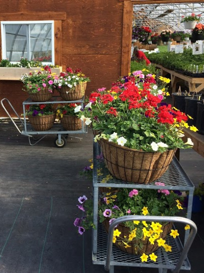 paniers pour Municipalité de Chelsea paniers pour Municipalité de Chelsea